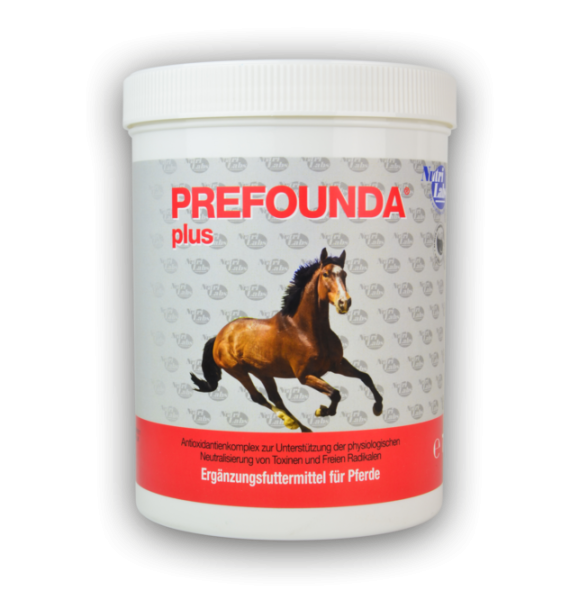 Prefounda plus Pulver (Pferd)