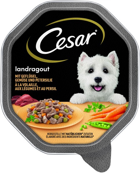 Cesar Landküche mit Geflügel und Gemüse in Sauce Schale (Hund)