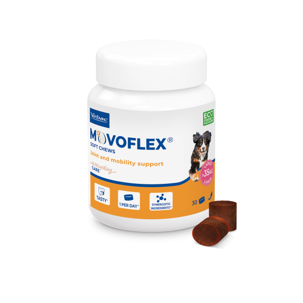 Movoflex Soft Chews zur Unterstützung der Gelenksfunktion
