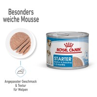 Starter Mousse (Hund)