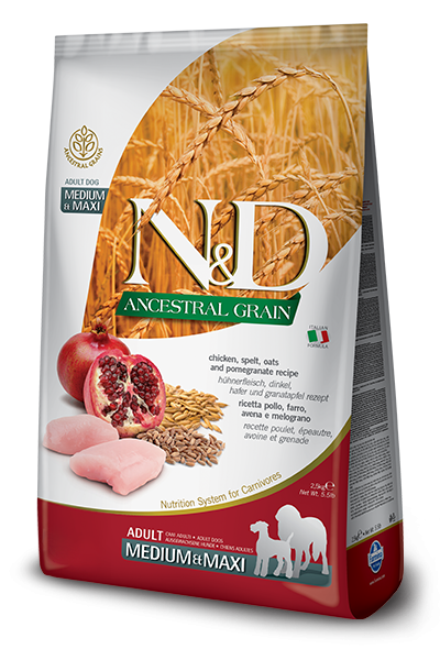 N&D Ancestral Grain Adult Medium & Maxi Chicken & Pomegranate (Hund)