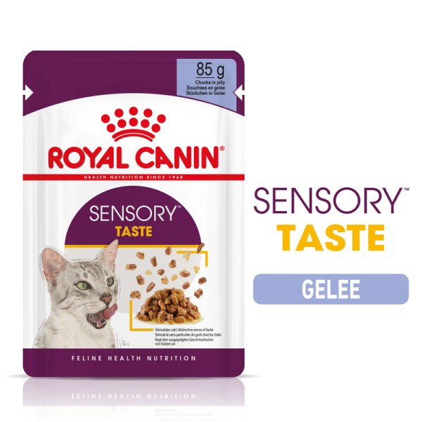 Sensory Taste Gelee (Katze)