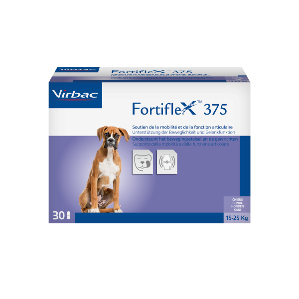 Fortiflex 375 mg (15-25kg) - zur Unterstützung der Beweglichkeit und Gelenkfunktion
