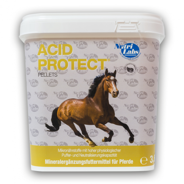 Acid Protect Pellets bei Magensäurebelastung (Pferd)