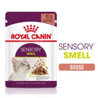 Sensory Smell Sauce (Katze)