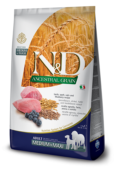 N&D Low Ancestral Grain Lamm, Dinkel, Hafer & Heidelbeere Adult Medium & Maxi (Hund)