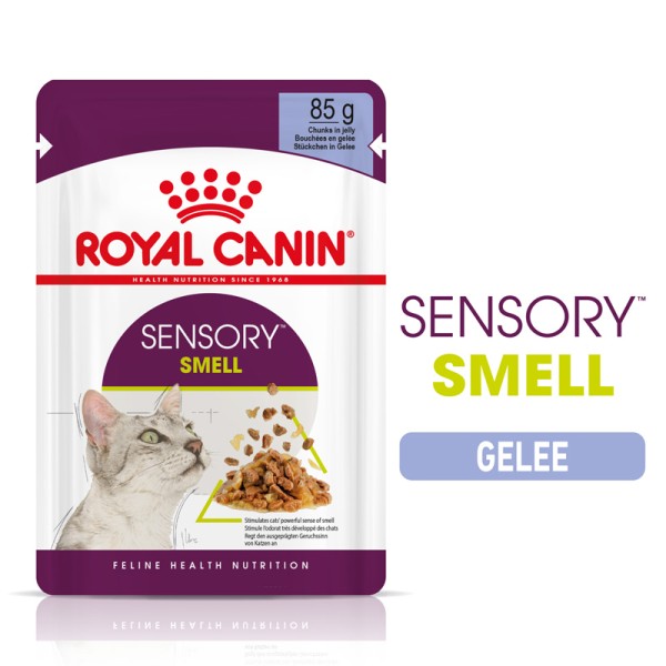 Sensory Smell Gelee (Katze)