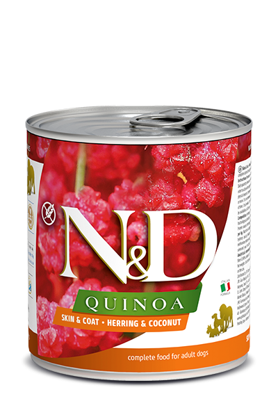 N&D Quinoa Skin & Coat - Hering & Kokosnuss Dose (Hund)