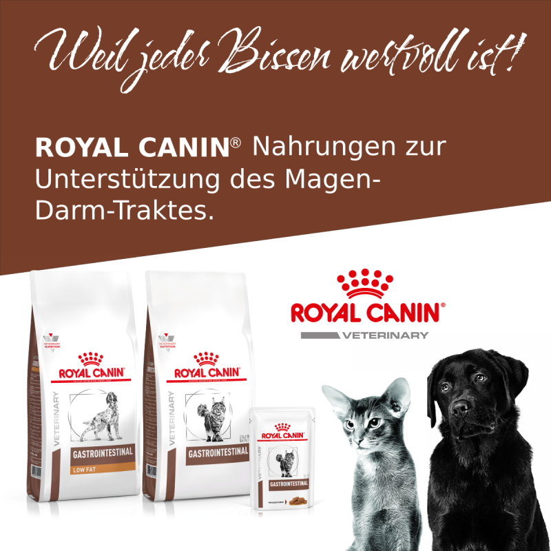 Royal Canin Nahrung zur Unterstützung des Magen-Darm-Traktes